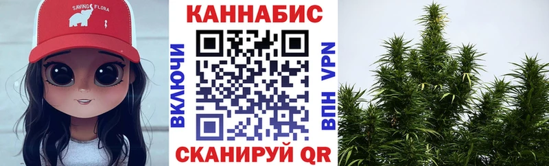 дарнет шоп  Шарья  MEGA ССЫЛКА  Марихуана план 